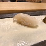 Sushi Gaku - まこがれい