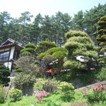 Hosobara - 