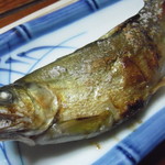 ほそばら - 鮎の塩焼き
