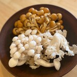 柚木元 - きのこ類