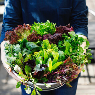 無農薬にこだわって、全国の生産者から直接仕入れています！