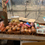 ショクヤボ農園 - 