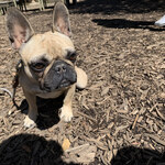 ショクヤボ農園 - 