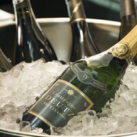 グラスシャンパーニュ Deutz Brut Classic オリジナルエチケット
