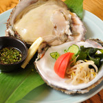 伯鷹 - 岩牡蠣