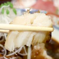 魚料理 ふじい - 20200512銀ダラ煮付・アップ