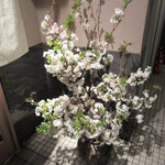 天寿し - 店前の装飾花、春