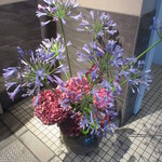 天寿し - 店前の装飾花、夏