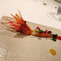 ジョンティ アッシュ - 