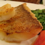 カーサ カルマ - 真鯛