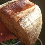 たま木亭 - カンパーニュ（1/2）　367円