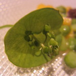 ラール・エ・ラ・マニエール - クレイトニア