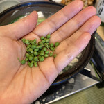 柚木元 - お鍋に入れる実山椒