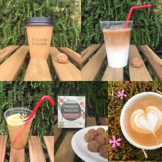 珈琲農園直営店 mol cafe_0