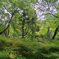 八勝館 - 