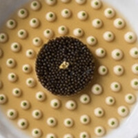ガストロノミー ジョエル・ロブション - スペシャリティーはキャビアです