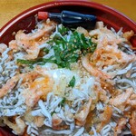 味彩 - 釜あげしらすと揚げ桜海老丼・温玉のせ