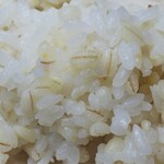 Shefukukku - もち麦入りご飯