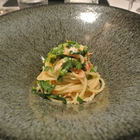 リストランテ カノフィーロ - 桜エビとチーマデラーパのアーリオオーリオ　スパゲッティ