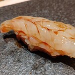 寿し おおはた - ぼたん海老