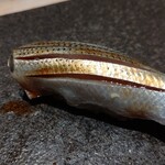 寿し おおはた - 小鰭