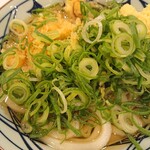 Marugameseimen - かけうどん イカ天いり