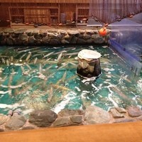 河太郎 中洲本店 - 