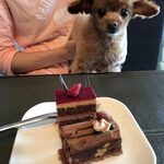 アテスウェイ - くるみとケーキ