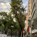 Hotel Royal-Nikko - ホテルのある通り