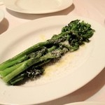 カトリカ - 菜の花