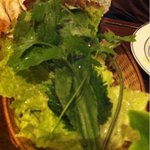 ベトナム フロッグ - 揚げ春巻のお野菜