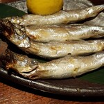 炙りや 和ービストロ ふじ - 