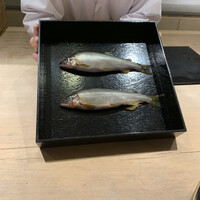 御料理 ふじ田 - 