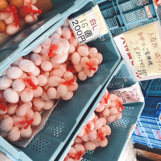 花兄園（カケイエン） - 八木山動物公園（プリン）の写真