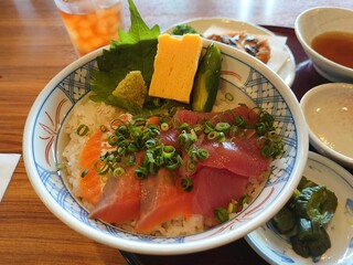 Shunsaisengyobontenshokudou - 鮪サーモン丼