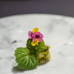 プレゼンテ スギ - 2020.5 イカと春の香り（アカイカと蕗の薹のタルタル、ルッコラのアイスクリーム、ユキノシタ、カタバミの葉）