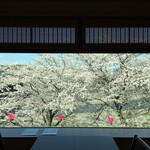 志太豊 - 店内窓から〜桜の季節昼〜