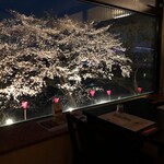 志太豊 - 店内窓から〜桜の季節夜〜