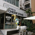 SHIBUYA CHEESE STAND - 