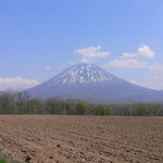 Cafeこむぎ野 - 羊蹄山（2012年5月）