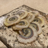 うなぎ 目白ぞろ芽 - 