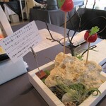 プレゼンテ スギ - 「定点　トマト飴」