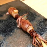 くろ﨑 - 2020.4.  蛍烏賊