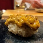 くろ﨑 - 2020.4.  北紫海胆