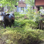 焼肉 平城苑 - 牛がいます