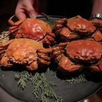 中国飯店 富麗華 - 清蒸大閘蟹＜上海蟹の蒸し物 オス・メス（２杯）＞