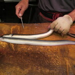 うなぎ屋酒坊・画荘 越後屋 - 鰻捌き