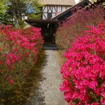 Tannen Tei - 停车场入口（杜鹃花）