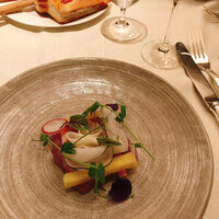 スプレンディード - 