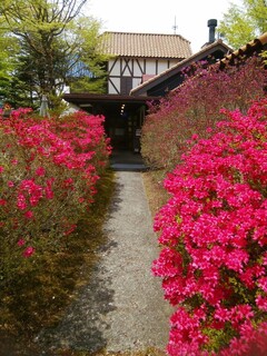 Tannen Tei - Entrance from the Parking Lot (Azalea)